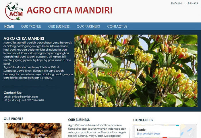 Jasa Pembuatan Website